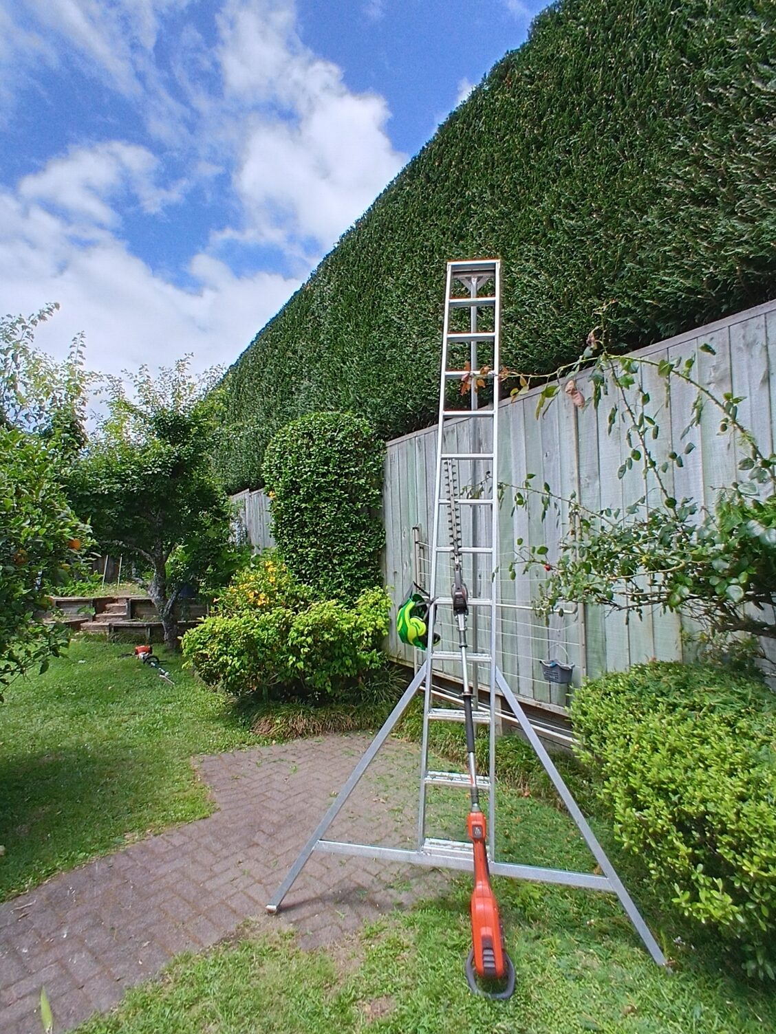 Hedge Trimming